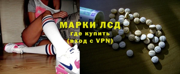 ПСИЛОЦИБИНОВЫЕ ГРИБЫ Горняк