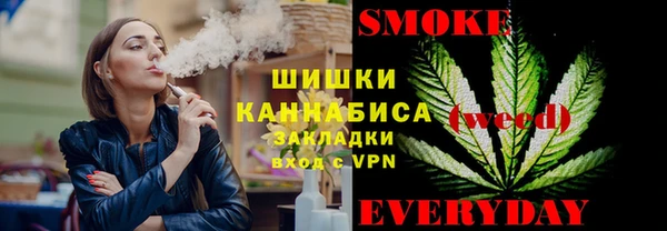 ПСИЛОЦИБИНОВЫЕ ГРИБЫ Горняк