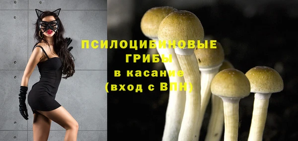 ПСИЛОЦИБИНОВЫЕ ГРИБЫ Горняк