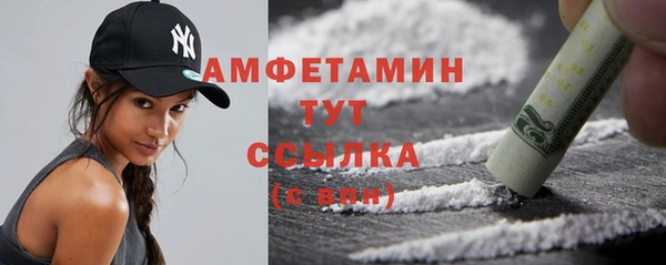 ПСИЛОЦИБИНОВЫЕ ГРИБЫ Горняк
