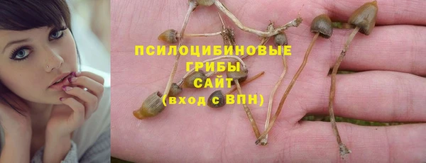 ПСИЛОЦИБИНОВЫЕ ГРИБЫ Горняк
